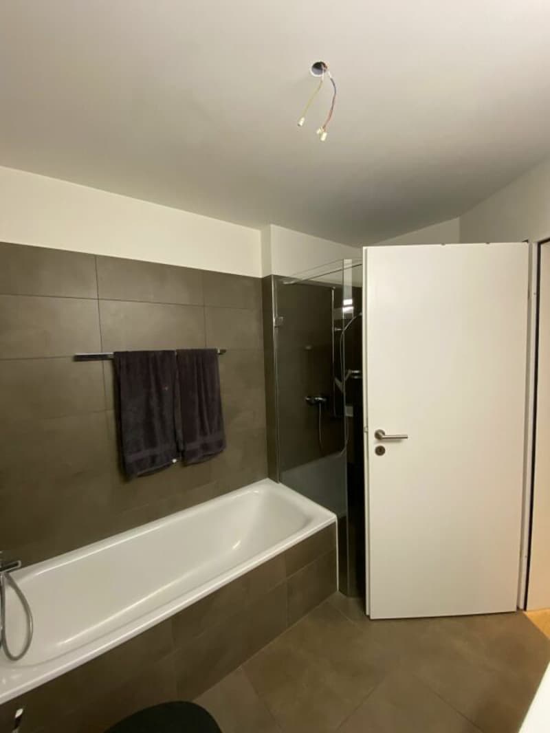 neuwertige 3.5-Zimmer-Wohnung an zentraler Lage (6)