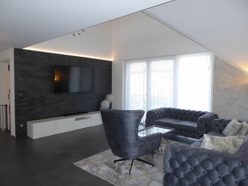 moderne und neuwertige 6-Zimmer-Maisonette-Wohnung (3)