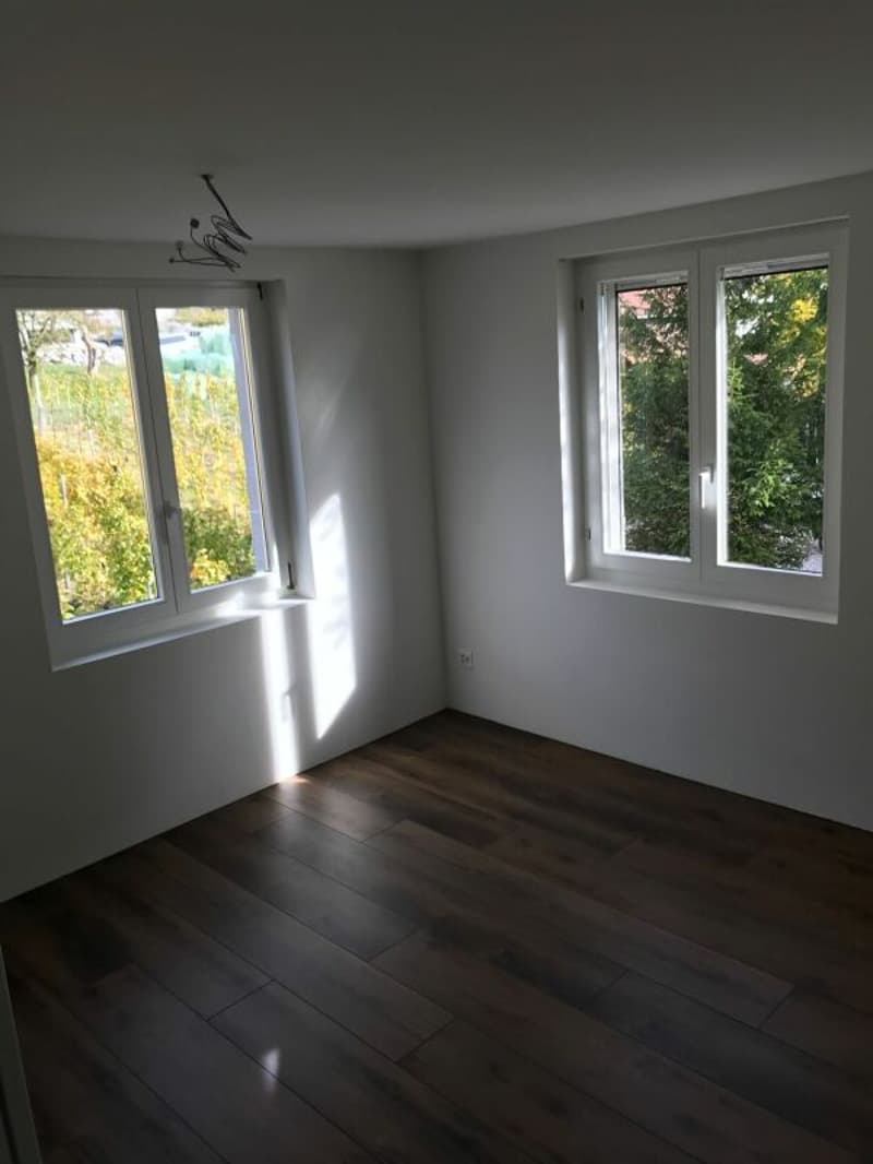 Ruhige Hanglage im Weinberg: Exklusive 4-Zimmer-Wohnung mit grosszügigem Parkangebot (6)