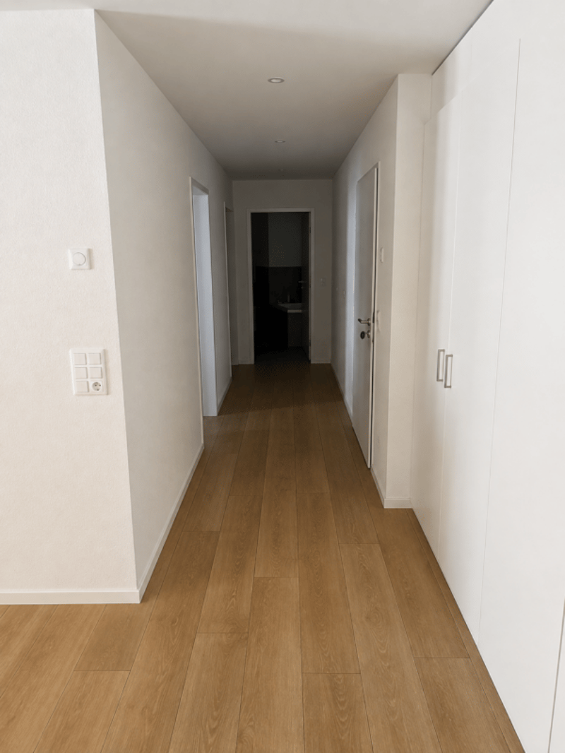 schöne 3.5-Zimmer-Wohnung inmitten von Mels (6)