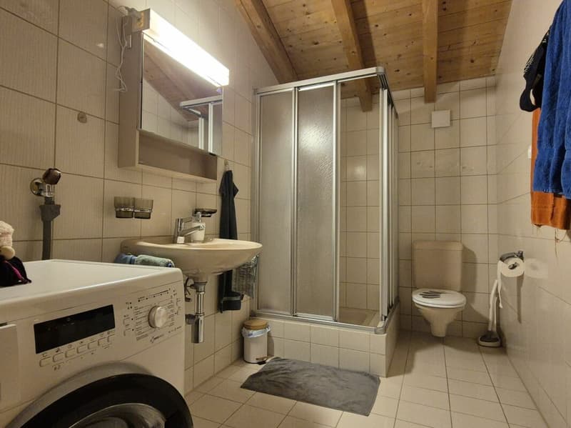 Nasszelle mit Dusche