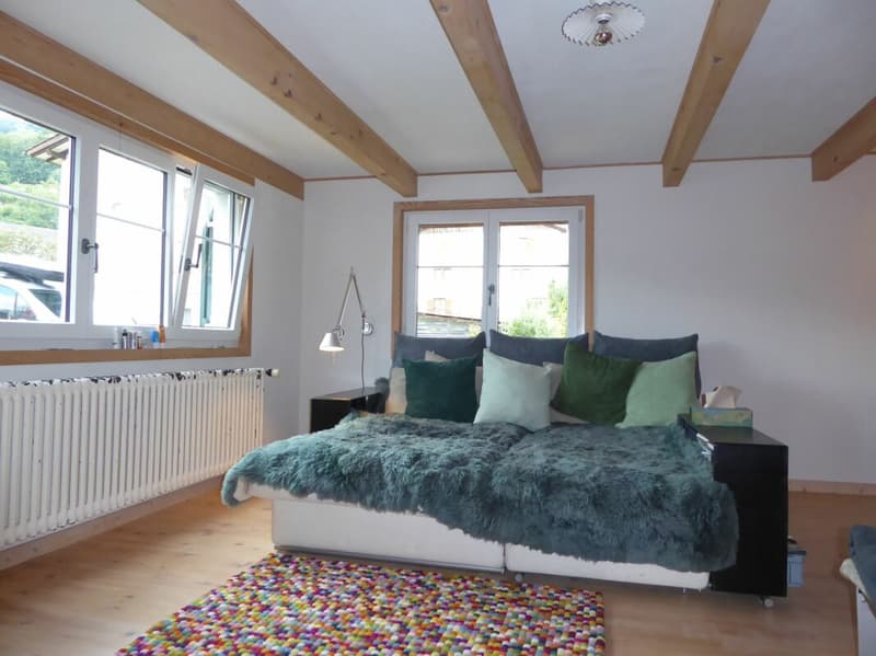 5-Zimmer-Einfamilienhaus mit angebautem Schopf und grosszügigem Umschwung (2)