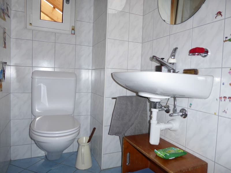 5-Zimmer-Einfamilienhaus mit angebautem Schopf und grosszügigem Umschwung (7)