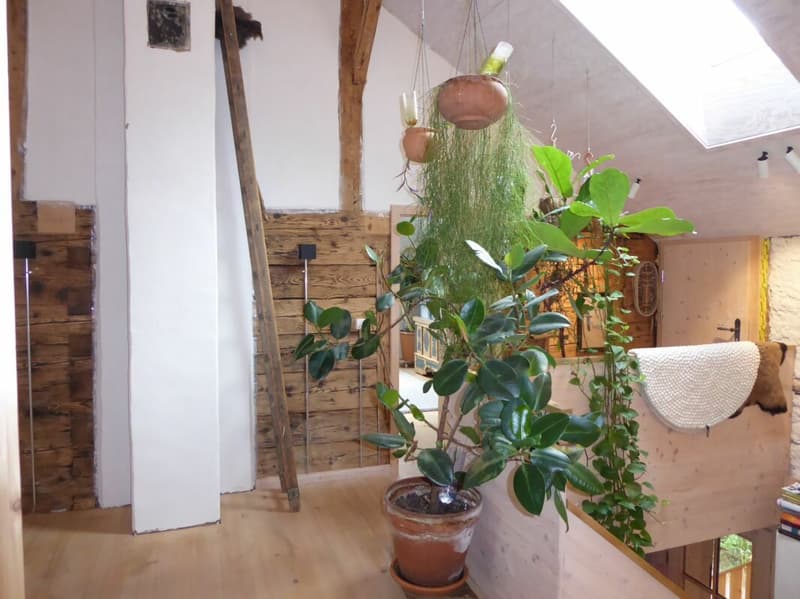 5-Zimmer-Einfamilienhaus mit angebautem Schopf und grosszügigem Umschwung (9)