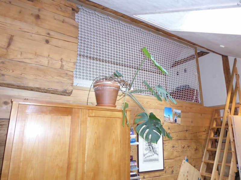 5-Zimmer-Einfamilienhaus mit angebautem Schopf und grosszügigem Umschwung (16)