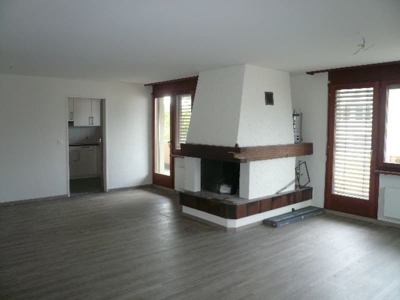 grosse 4½-Zimmer-Dachwohnung an guter Lage (1)