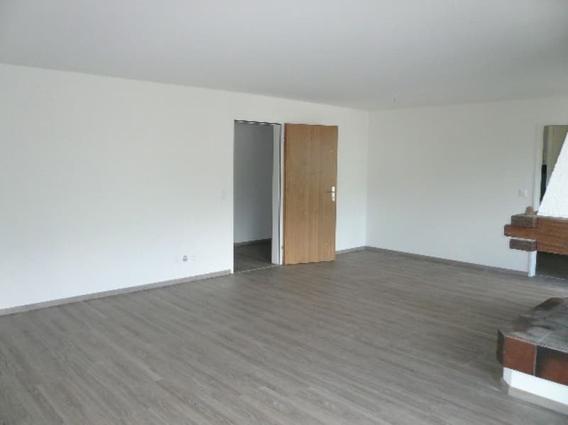 grosse 4½-Zimmer-Dachwohnung an guter Lage (3)