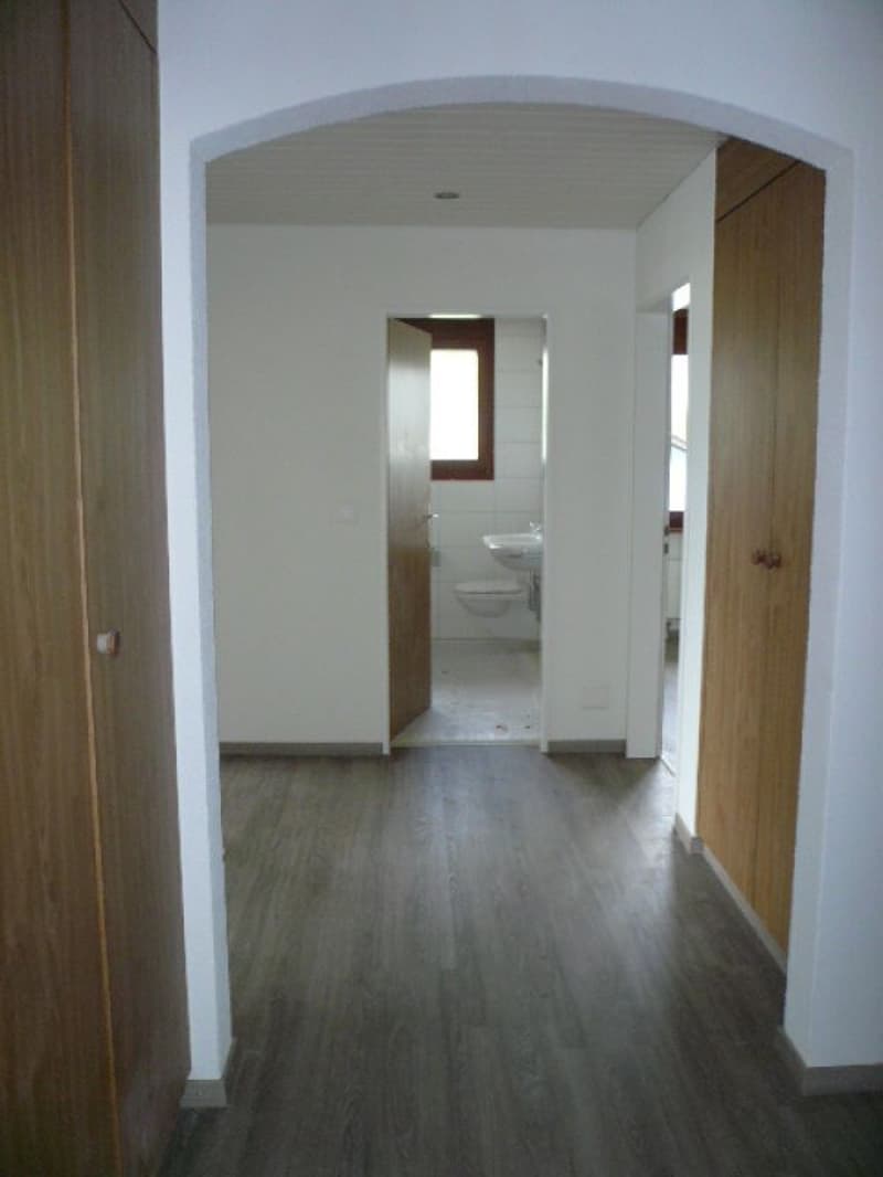 grosse 4½-Zimmer-Dachwohnung an guter Lage (10)