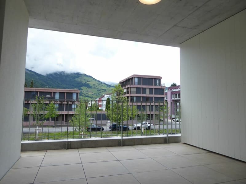 3 1/2-Zimmer-Wohnung - Neubauprojekt "Rheincity" (5)