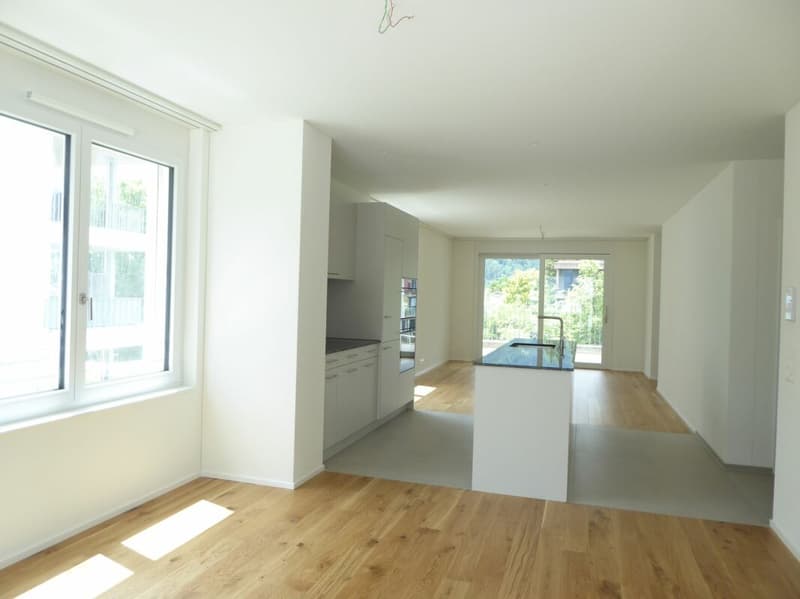 4 1/2-Zimmer-Wohnung - Neubauprojekt "Rheincity" (6)
