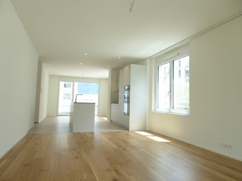 4 1/2-Zimmer-Wohnung - Neubauprojekt "Rheincity" (5)