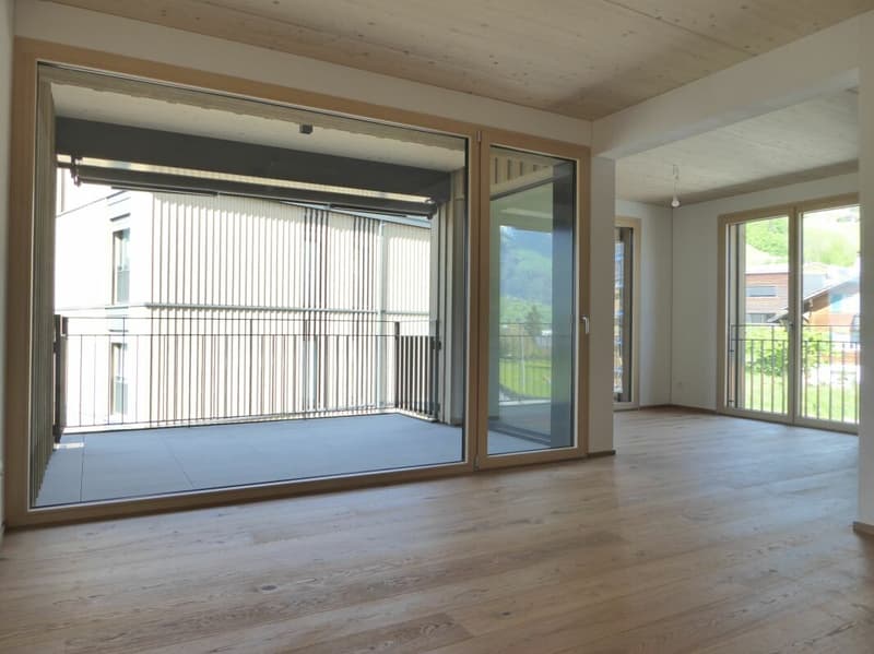 neuwertige 2.5-Zimmer-Wohnung an sonniger Lage (1)