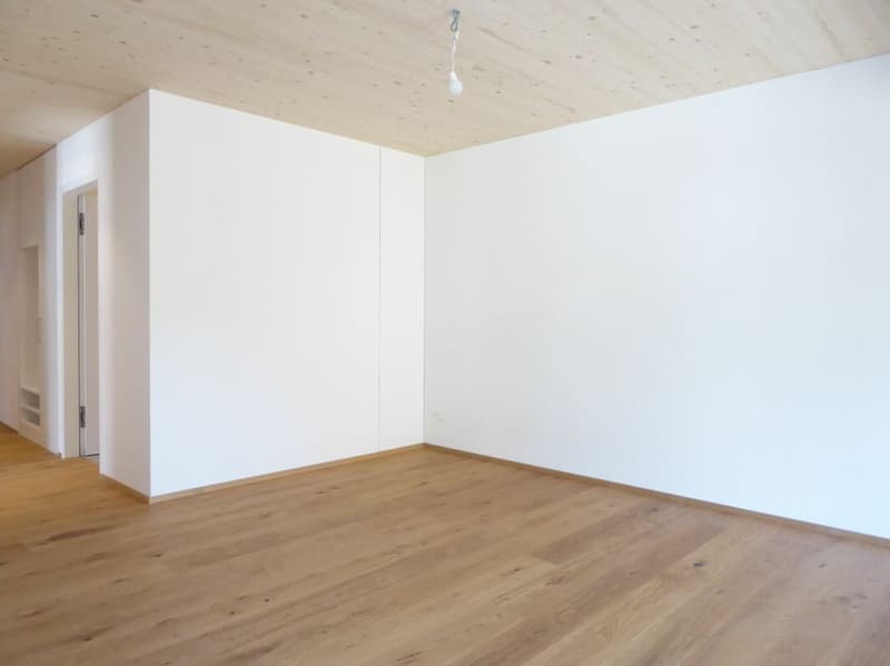 neuwertige 2.5-Zimmer-Wohnung an sonniger Lage (3)
