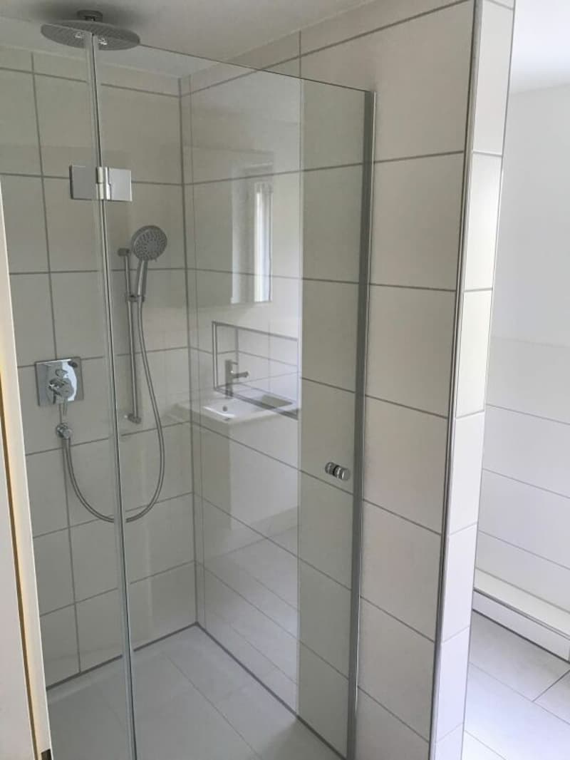 Ruhige Hanglage im Weinberg: Exklusive 4-Zimmer-Wohnung mit grosszügigem Parkangebot (6)