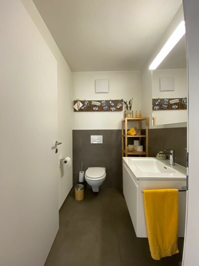 schöne 3.5-Zimmer-Wohnung inmitten von Mels (7)