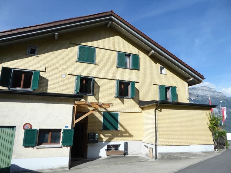3 1/2-Zimmer-Wohnung (9)