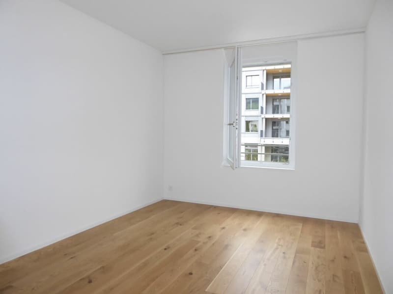 5 1/2-Zimmer-Wohnung - Neubauprojekt "Rheincity" (9)