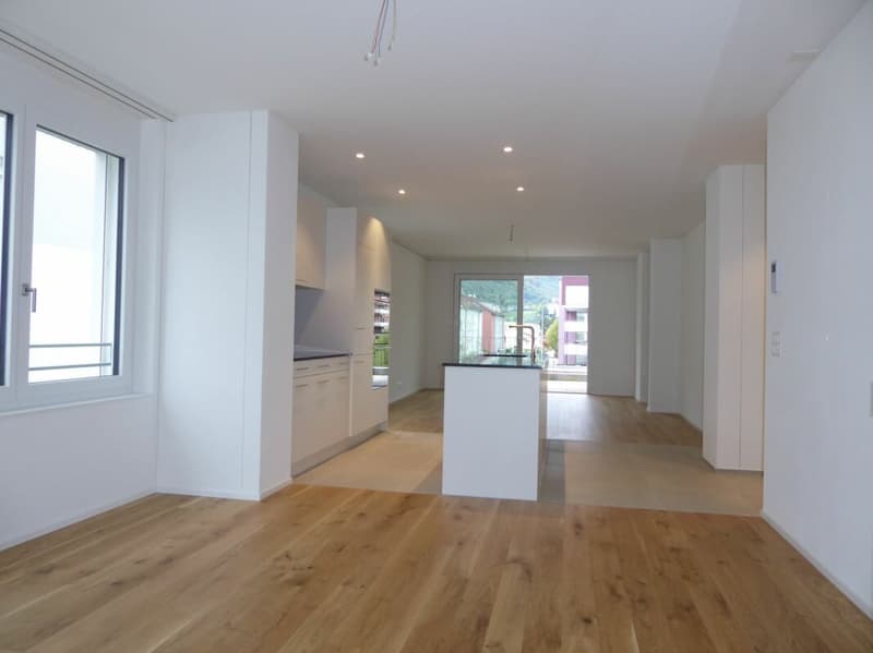 5 1/2-Zimmer-Wohnung - Neubauprojekt "Rheincity" (2)