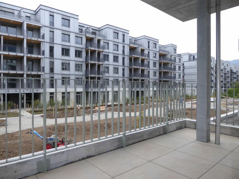 5 1/2-Zimmer-Wohnung - Neubauprojekt "Rheincity" (7)