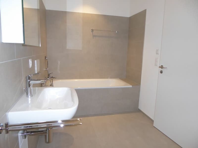 5 1/2-Zimmer-Wohnung - Neubauprojekt "Rheincity" (11)
