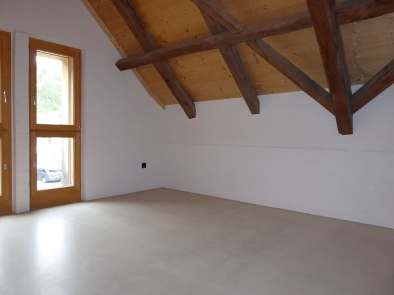 4 1/2-Zimmer-Maisonette-Wohnung (10)