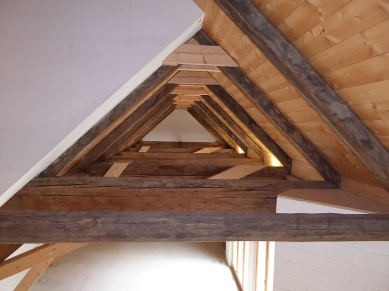 4 1/2-Zimmer-Maisonette-Wohnung (15)