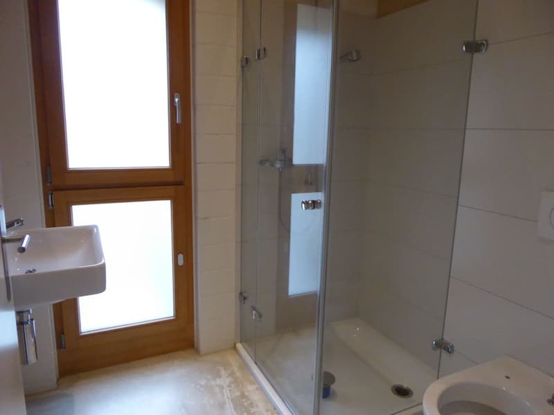 4 1/2-Zimmer-Maisonette-Wohnung (12)