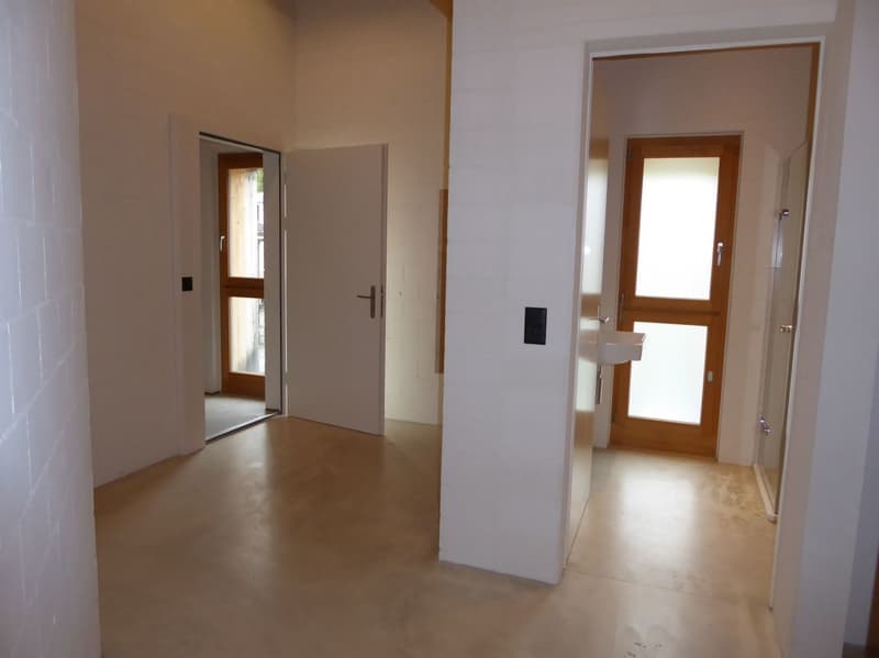4 1/2-Zimmer-Maisonette-Wohnung (11)