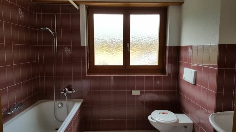 grosszügige 4.5-Zimmerwohnung an ruhiger Lage (9)