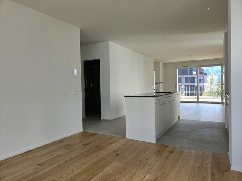 4 1/2-Zimmer-Wohnung - Neubauprojekt "Rheincity" (1)