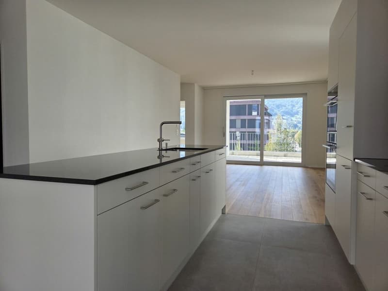 4 1/2-Zimmer-Wohnung - Neubauprojekt "Rheincity" (5)