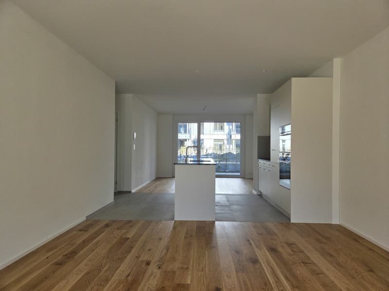 4 1/2-Zimmer-Wohnung - Neubauprojekt "Rheincity" (3)