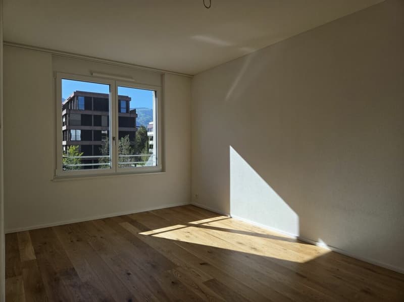 5 1/2-Zimmer-Wohnung - Neubauprojekt "Rheincity" (6)