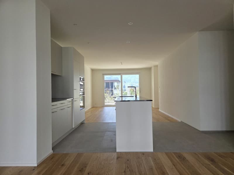 5 1/2-Zimmer-Wohnung - Neubauprojekt "Rheincity" (3)