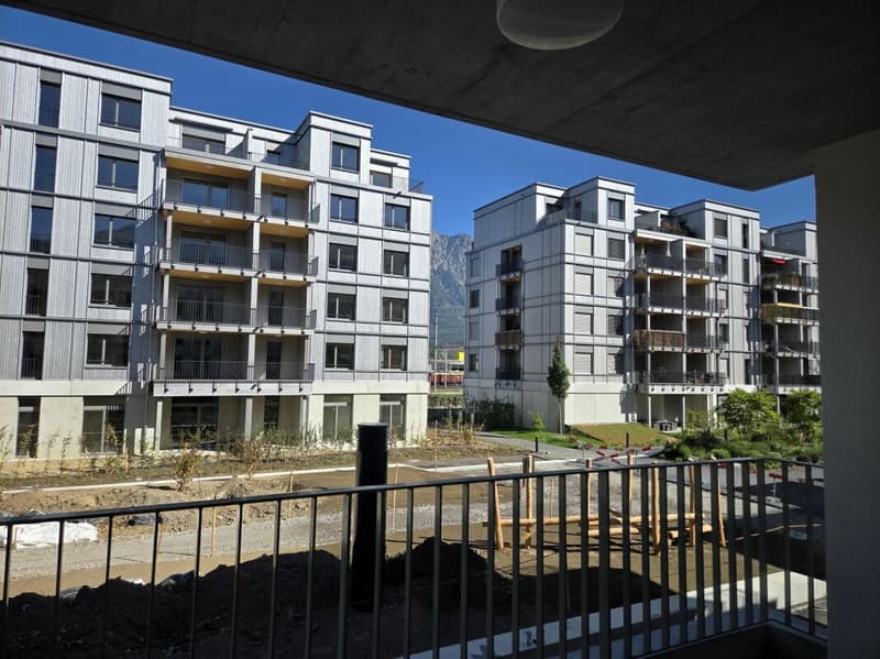 3 1/2-Zimmer-Wohnung - Neubauprojekt "Rheincity" (15)