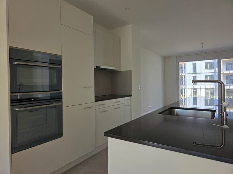 3 1/2-Zimmer-Wohnung - Neubauprojekt "Rheincity" (3)