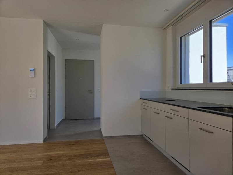 4 1/2-Zimmer-Wohnung - Neubauprojekt "Rheincity" (9)