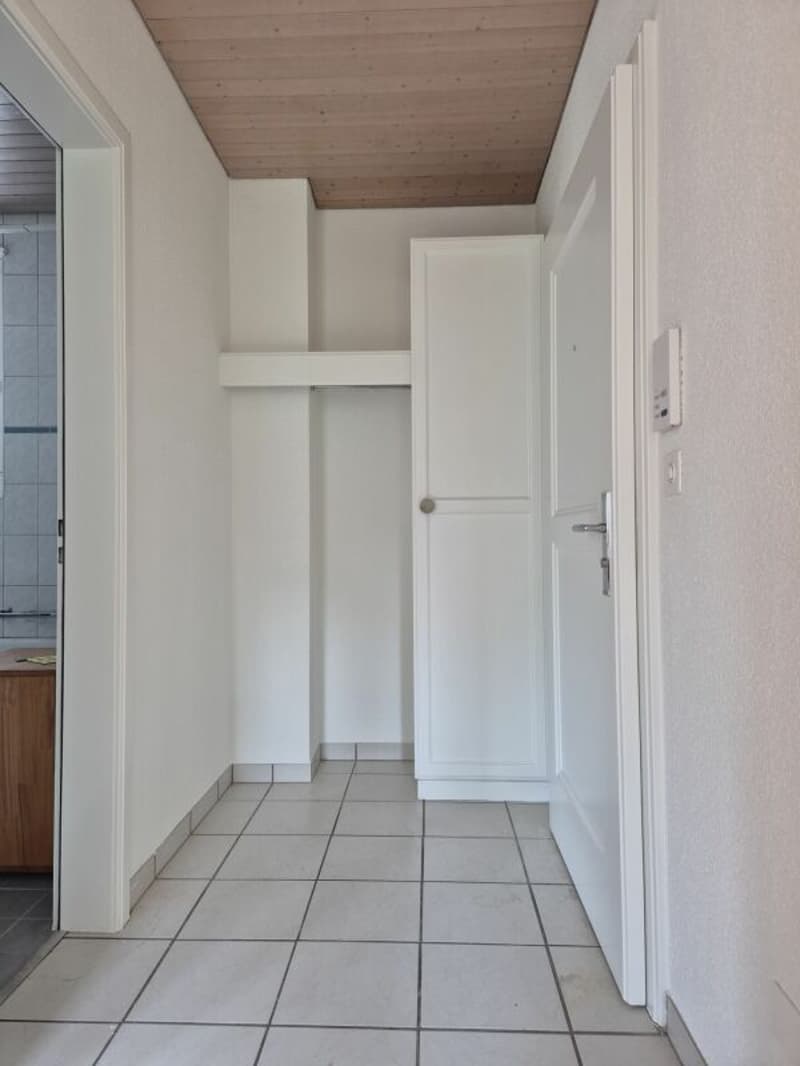 preiswerte und teilsanierte 2.5-Zimmerwohnung (5)