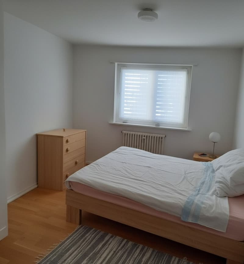 3-Zimmerwohnung in Littau (4)