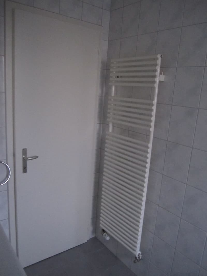 frisch renovierte 3-Zimmerwohnung im 2. OG (7)