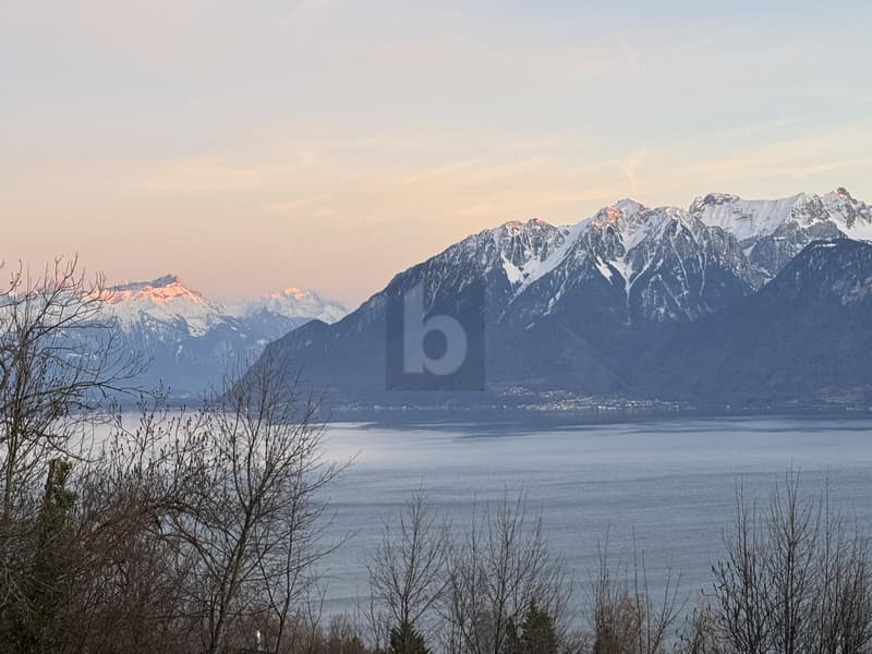RÉNOVÉ, SUPERBE VUE SUR LAC AU COEUR DU LAVAUX (2)
