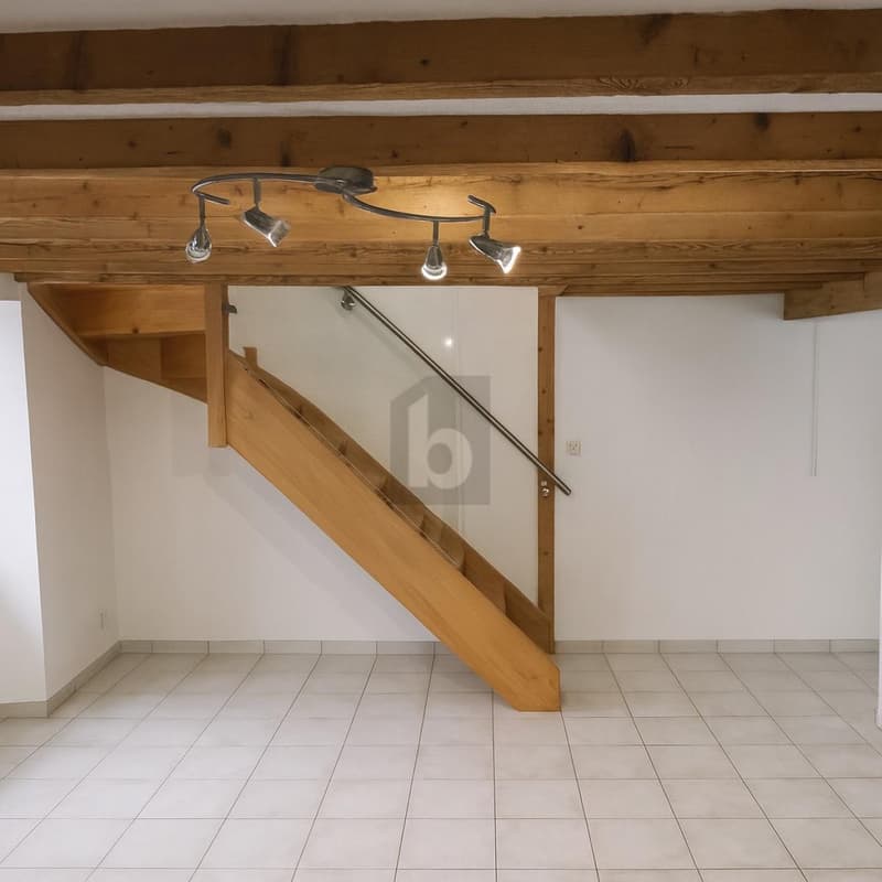 IMMEUBLE DE RENDEMENT À 4% AU VIEUX VILLAGE (4)