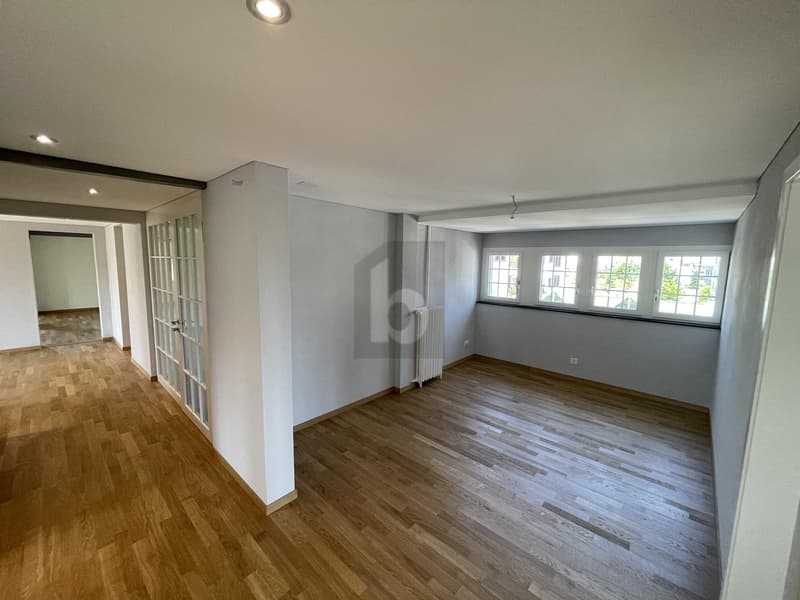 MODERNER TRAUM MIT LUXURIÖSEM AMBIENTE (3)