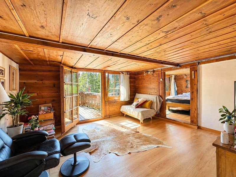 SPLENDIDE CHALET RESTAURANT AVEC APPARTEMENT (5)