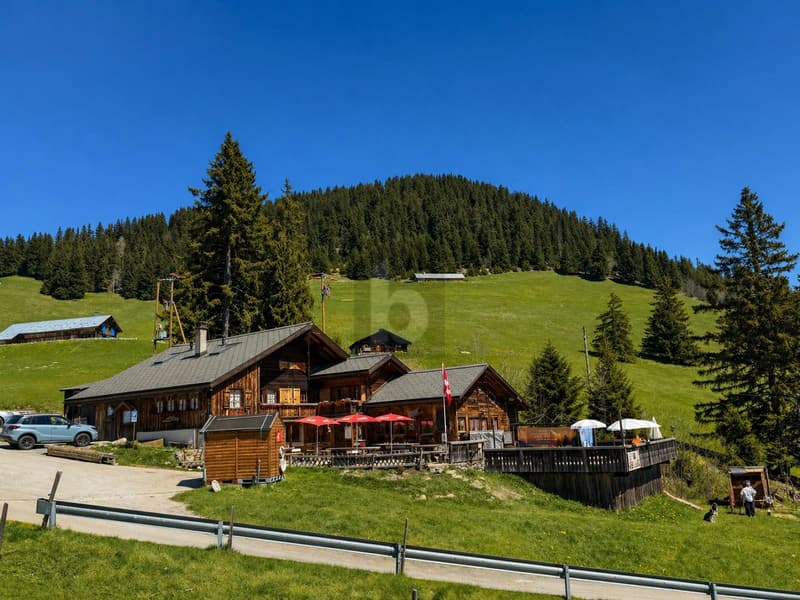 SPLENDIDE CHALET RESTAURANT AVEC APPARTEMENT (1)
