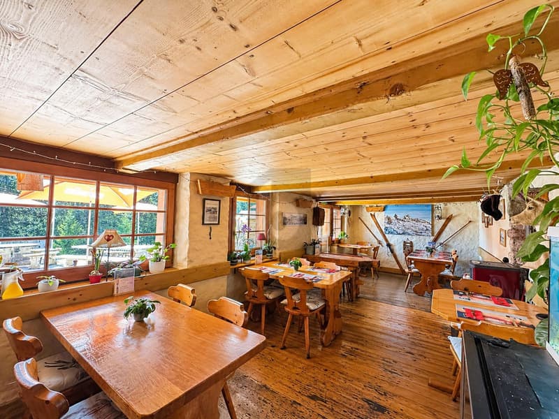 SPLENDIDE CHALET RESTAURANT AVEC APPARTEMENT (4)