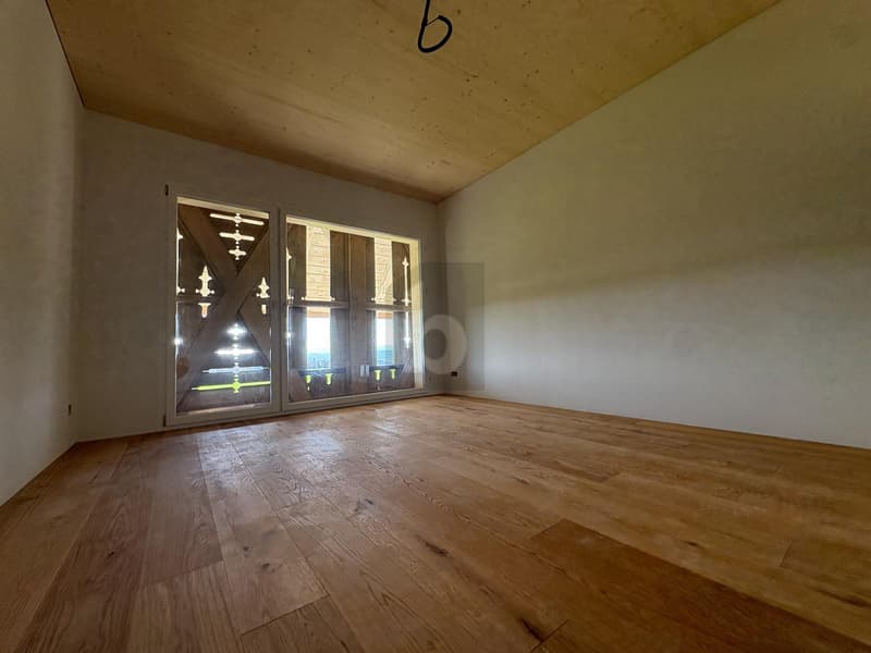NEUBAU MIT WEITSICHT (4)
