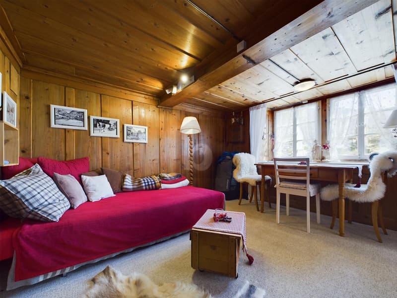 FREISTEHENDES CHALET AM FUSSE DES EIGERS (3)