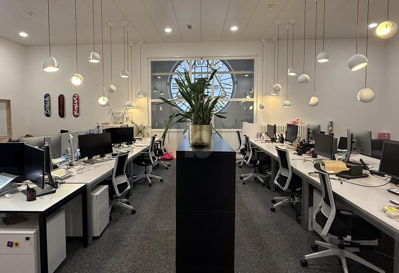 CENTRAL, LUMINEUX ET COLLABORATIF (2)