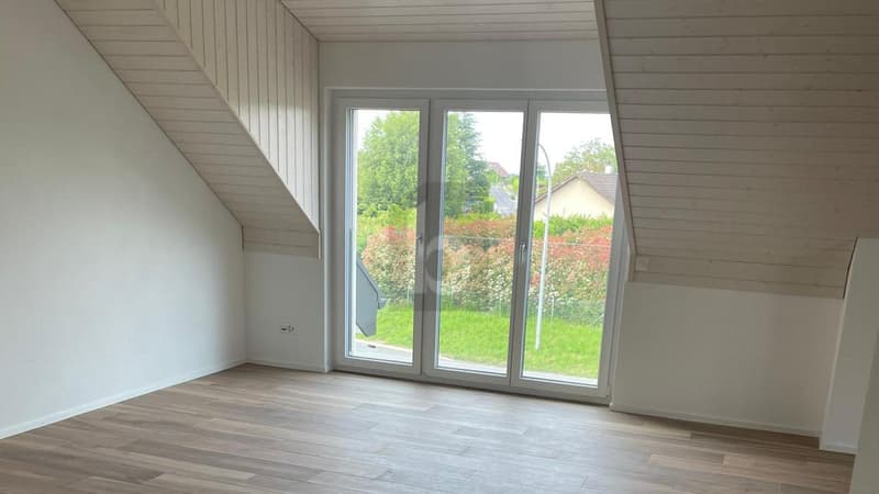APPARTEMENT MANSARDÉ CHALEUREUX ET LUMINEUX (3)